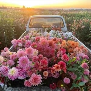 Meet your Posher, Barbara